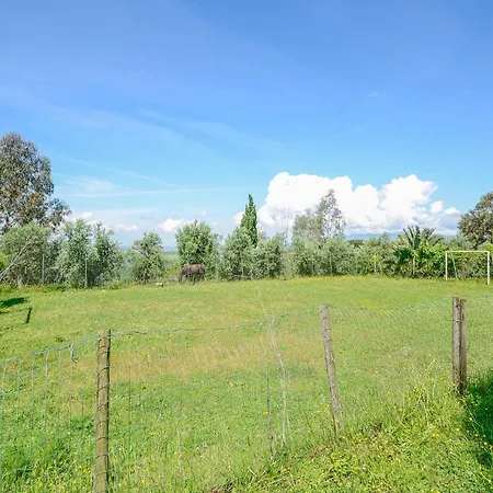 Pet Friendly In Montechiari *